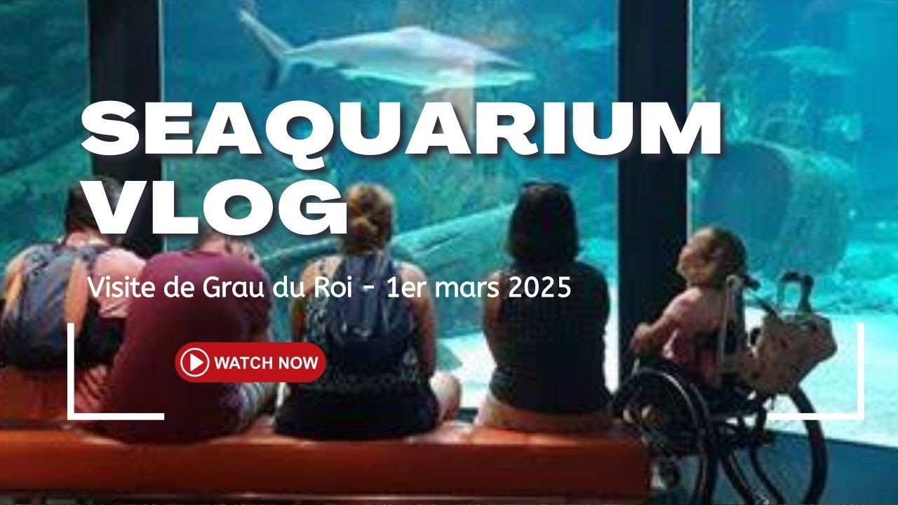 Sortie en famille : Restaurant St-Christophe & Seaquarium du Grau-du-Roi 🐠🍽️ | Apaisement et Bonheur