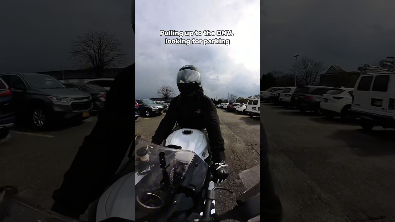 Never a dull moment at the DMV 