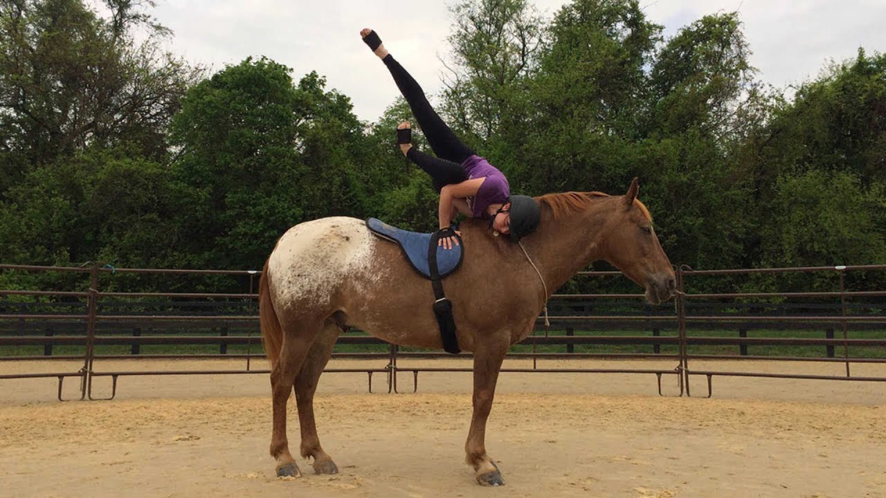Woman Does Yoga On Horses' Back