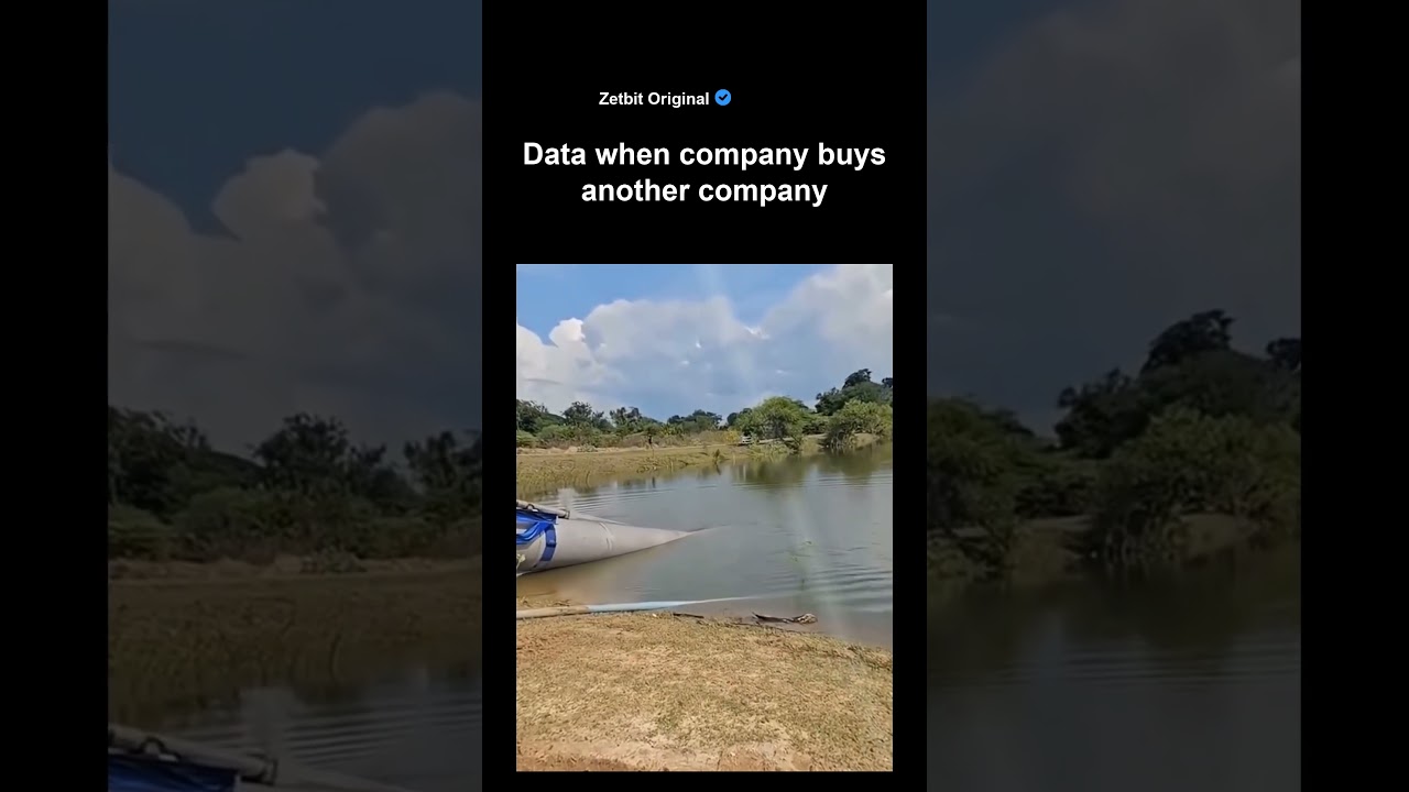 Data when company buys another company #programmer #coder #codinglife