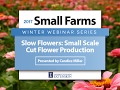 Slow Flowers: Small-Scale Cut Flower Production - Candice Hart - University of Illinois Extension