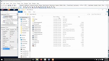 Tutorial Membuat Laporan Dengan LazReport