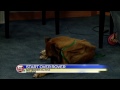 News 5 Today - Start Over Rover / September 24, 2014