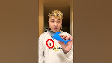 Growing a GIANT Shark in my magic fish tank! 🦈💦 (part 1) #shark #magic #experiment #project #grow