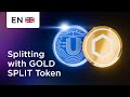 How to Get ULTIMA for Holding GOLD SPLIT Token in SMART Wallet?