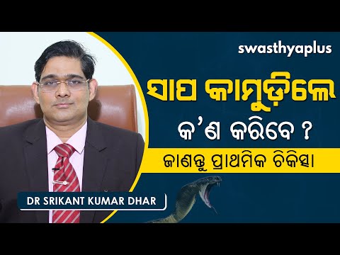 ସାପ କାମୁଡ଼ିଲେ କ’ଣ କରିବେ? | Dr Srikant Kumar Dhar on Snake Bites in Odia | Symptoms & First Aid