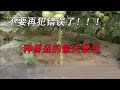 不要再犯错误了 种番茄最大的禁忌 付老师种植技术团队官方频道 不要再犯错误了 种番茄最大的禁忌 付老师种植技术团队官方频道