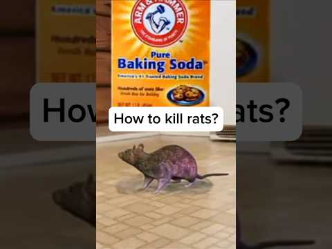 Can we kill