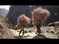 Cutting grass for feeding domestic animals || Traditional village life