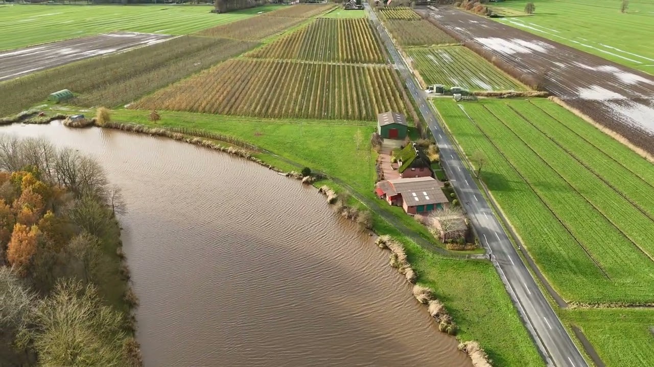 Wischhafen, 24. November 2024, an der Bracke