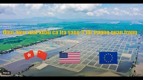 VASEP Highlight - T4/2022: Diễn biến xuất khẩu cá tra qua 3 thị trường quan trọng nhất