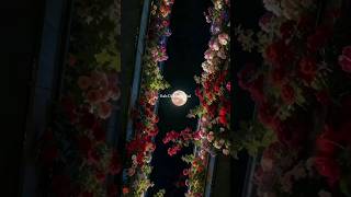 Rab di marzi hai Apna ye milna (lyrics) ☺️💫 |Aesthetic Lyrics #shreyaghoshal #viral #lovesong #short