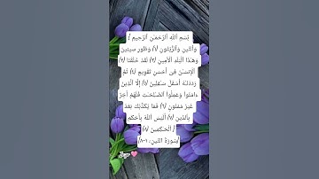 #سورة #التين #egzonibrahimi #quran #quranic #dua #islamicquotes #اكسبلور #لايك #allahuakbar #ترند