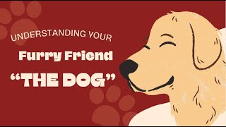 Understanding Your Furry Friend: The Dog | Generated By AI | AI makes it happen