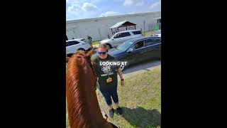 Her Brother’s Horse Surprise Made Her So Happy 🥹