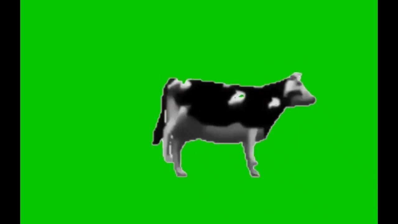 Весело кабанчик ремикс. Корова танцует. Танцующая корова. Футаж коровы. Польская корова.