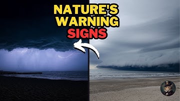 8 Signs of an impending natural disaster