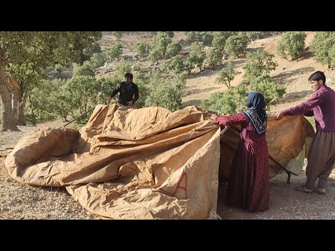 ვიდეო: იყო აღმოსავლეთის ტყეები მომთაბარე?