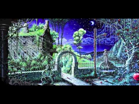 Masters Of Reality "Theme For The Scientist Of The Invisible" from Masters Of Reality Deluxe Edition
