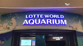 lotteworld aquarium tour