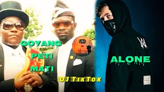 Video thumbnail of "GOYANG PETI MATI | ALONE | ALAN WALKER | DJ TIKTOK VIRAL"