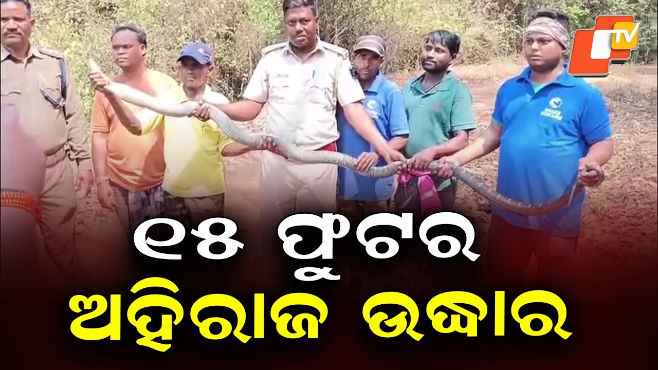 15-Foot Python Rescued from Inside House in Odisha