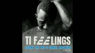 Seamy The Pro Ft Daniel Brothers Ti Fellings