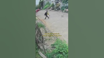 Đang đi dạo thì bị chó cắn và lời cầu cứu khiến ai cũng xót xa 😨 #canhbao #tintuc #xahoi #treem