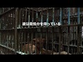 ピースウィンズ・ジャパン／夢之丞の物語