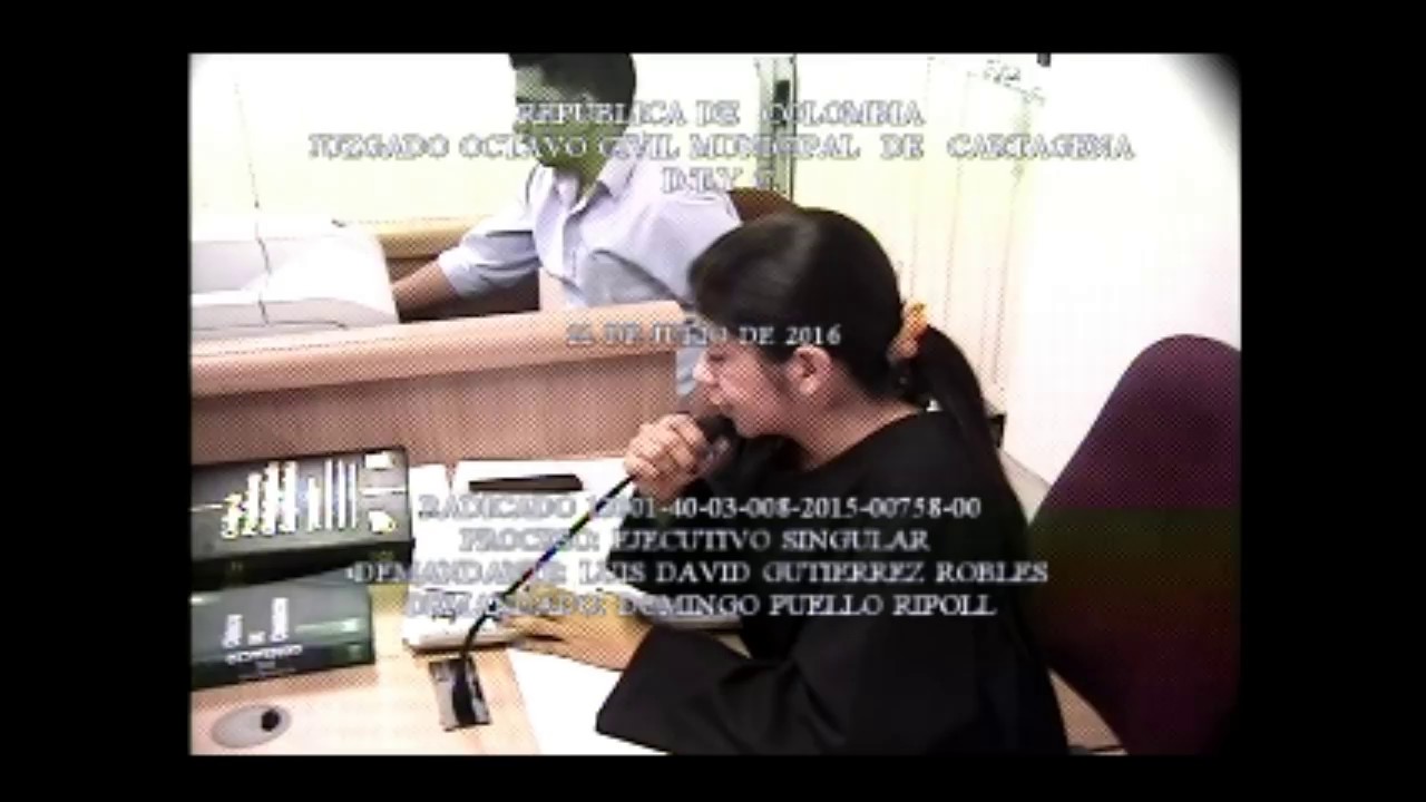 Audiencia Proceso Ejecutivo Letra de Cambio