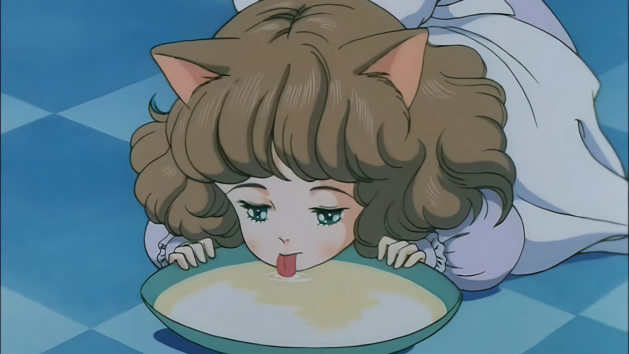 The girl was an adorable little cat, yet her owner cruelly abandoned her.