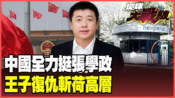 「安世之戰」非贏不可！中國傾國家之力挺張學政！蔡正元：荷蘭政府收賄強奪金雞母 王子復仇鐵血開除「叛亂高層」！【#環球大戰線】20251106-P1 葉思敏 蔡正元 賴岳謙 栗正傑
