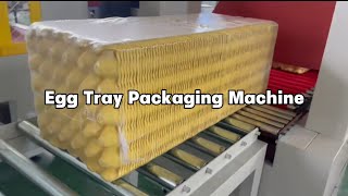 Plastic Film Packaging Machine For Egg Tray