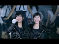 Labrador retriever - AKB48 |  Tokyo Dome Concert