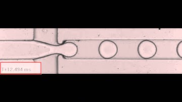Microfluidic high speed droplet generation