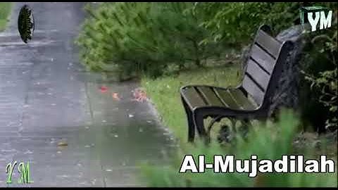 58  سورة المجادلة القارئ الشيخ ماهر المعيقلي القران الكريم Surah Al Mujadilah