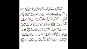 سورة غافر 22 القسم الثاني العشرون تكرار كيفي من .. الله الذي جعل لكم الأرض .. إلى .. العالمين