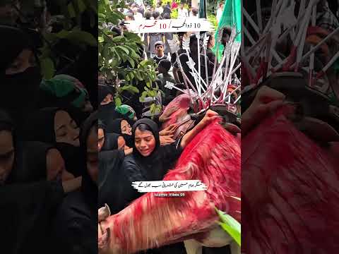 10 Zil_Hajj, 10 Muharram #qurbani #imamhussain #hazratibrahim #shia #noha #10muharram #ashura