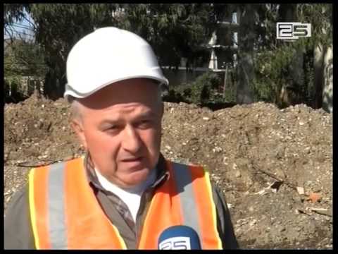 ავტოსადგომის მშენებლობას ოცზე მეტი მრავალწლიანი ხე ეწირება