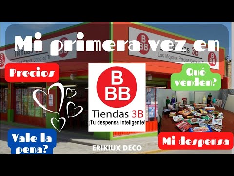 Mi primera vez en una tienda 3B | Despensa en Tiendas 3B | Despensa con poco dinero | Tips de ahorro