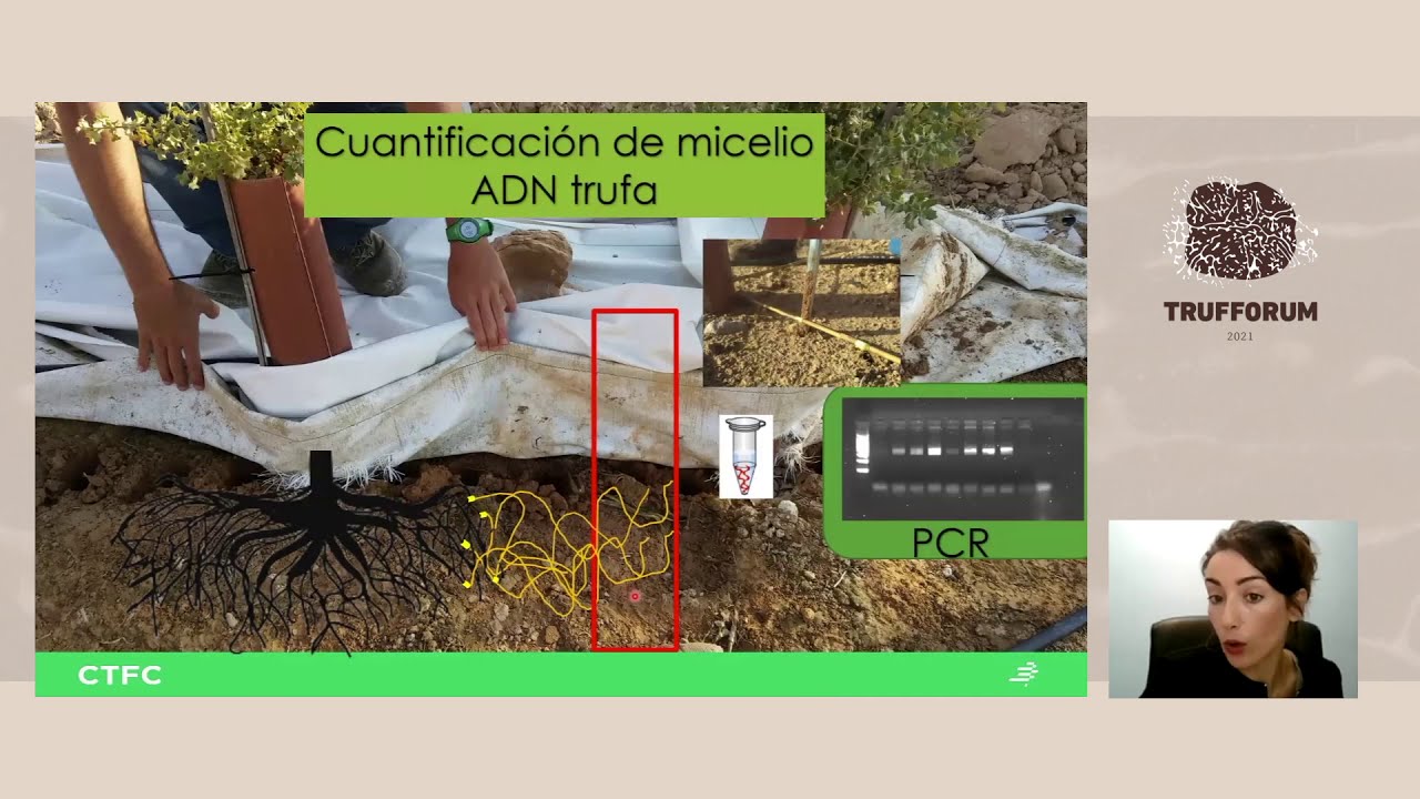 Seminario Científico, Yasmin Piñuela. Trufforum 2021