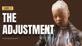 The Gray Hair Stage Everyone Avoids | Level 2: Adjustment