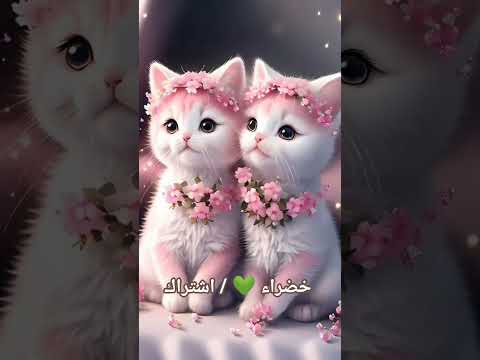خبروني شو انتو اكسبلور لايك اشتراك Funny دعمكم قناة 