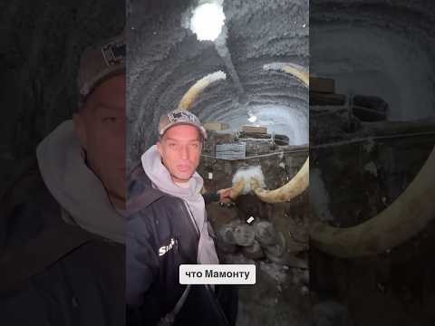 Удивительные факты о возрасте и времени гибели мамонта