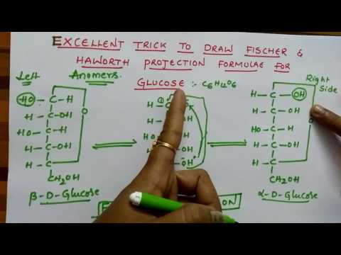 Fischer & Haworth projection formulae for Glucose (Biomolecules class 12 chemistry )