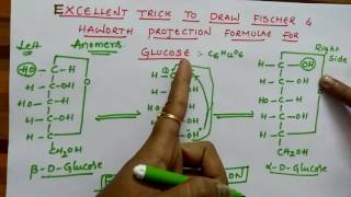 Fischer & Haworth projection formulae for Glucose (Biomolecules class 12 chemistry )