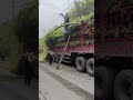 Bamboo Loading Hack | Efficient Farm Transport