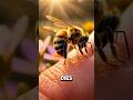 Why Do Bees Die After Stinging You?" 😱(SHOCKING TRUTH) #shorts #science