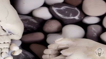 AI GENERATED VIDEO: CARTILOGENOPHOBIA LOOP VIDEO #1o (STABLE DIFFUSION)