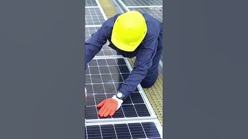 How Young People Are Solving the Climate Crisis 🌱